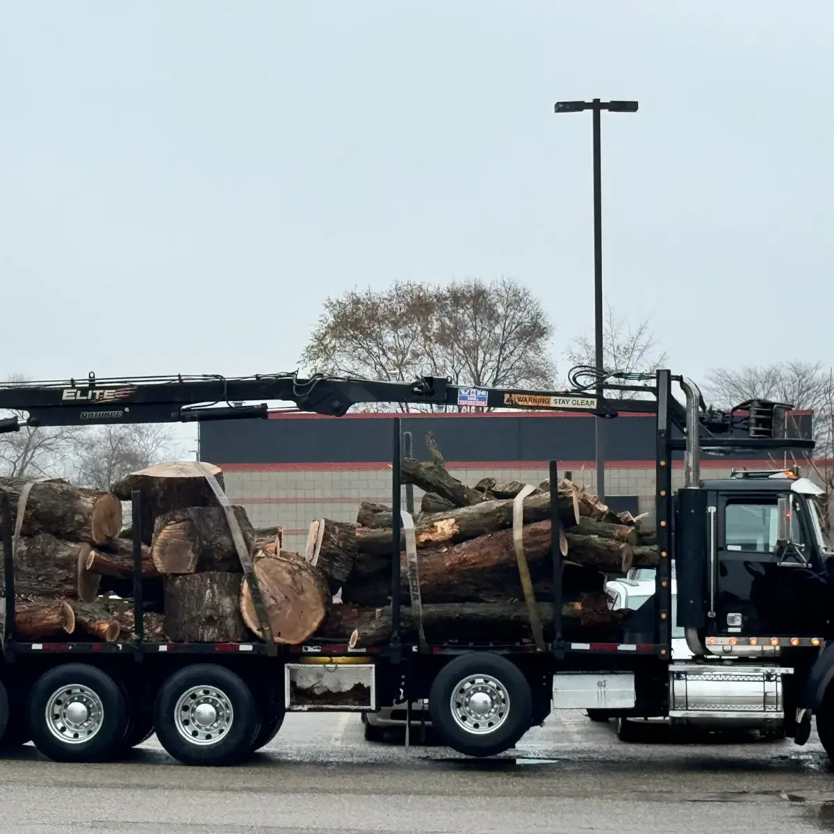 Tree service crane and bucket truck working on large tree removal in Grand Rapids, MI