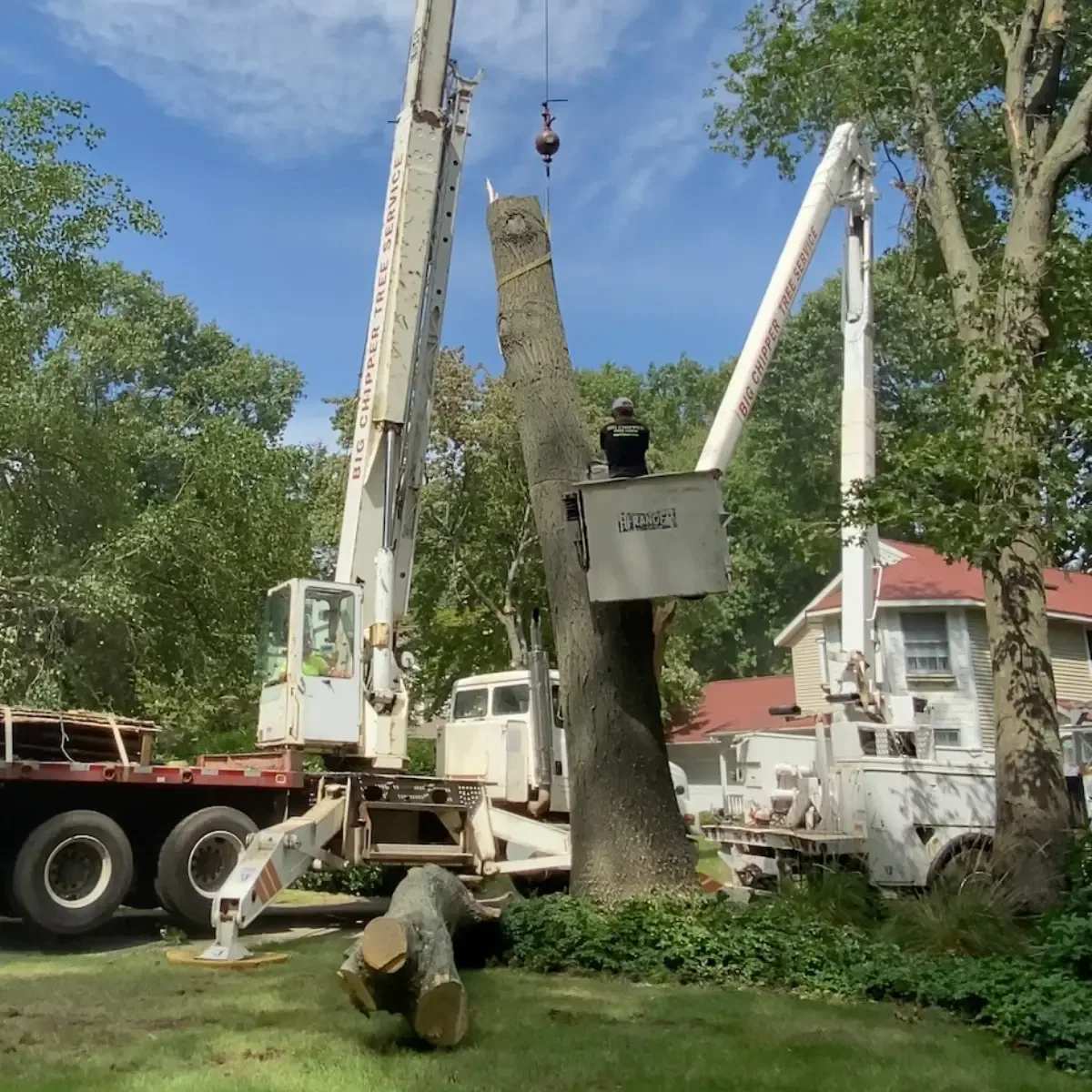 Big Chipper Tree Service crew operating a 40-ton stick crane during a large tree removal in Grand Rapids, Michigan