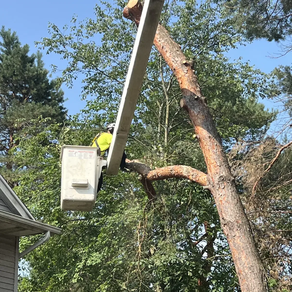 Tree service team office location in Holland, MI offering free estimates and professional tree care services.
