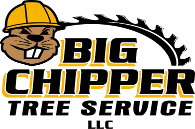 Big Chipper Tree Service