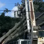 24/7 Emergency Tree Service