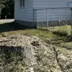 Stump Grinding and Removal