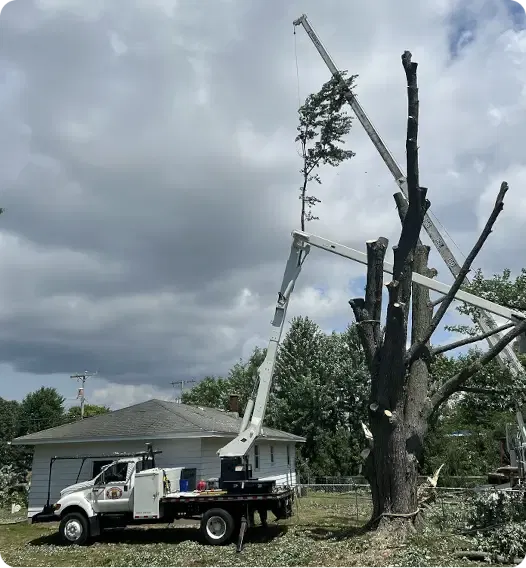 About Big Chipper Inc