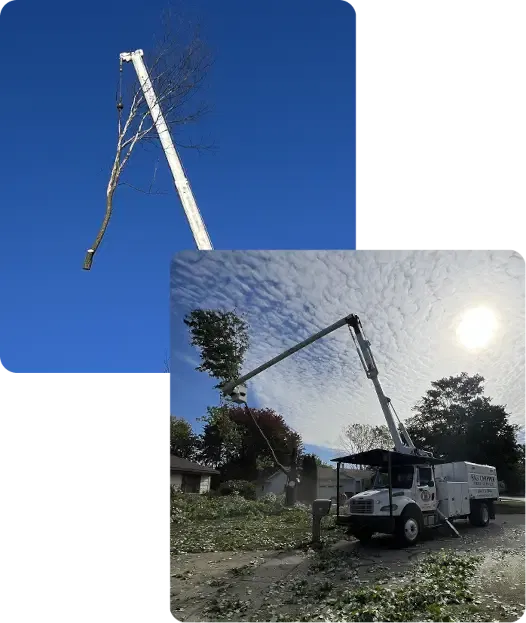 About Big Chipper Inc