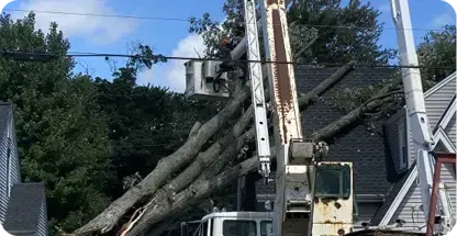 24/7 Emergency Tree Service