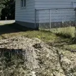 Stump Grinding and Removal