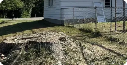 Stump Grinding and Removal