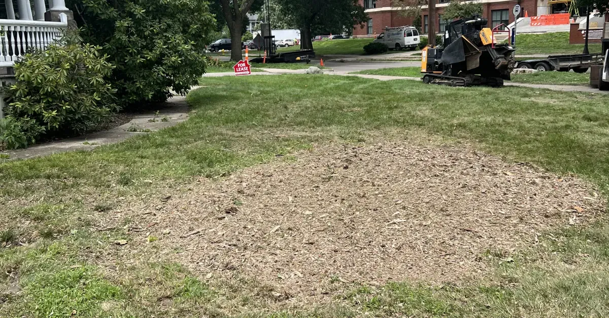 Land Clearing in Grand Rapids, MI & West Michigan