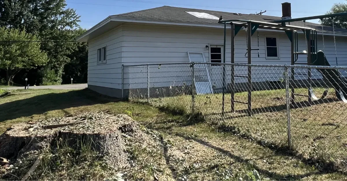Stump Removal and Stump Grinding in Grand Rapids, MI & West Michigan