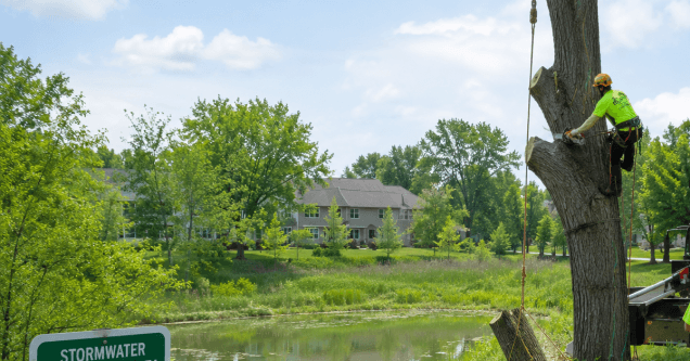 How Grand Rapids’ Stormwater Ordinances Affect Tree Removal Near Drains and Retention Areas