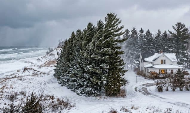 Wind-Proofing Your West Michigan Landscape: Best Strategies for High-Gale Areas