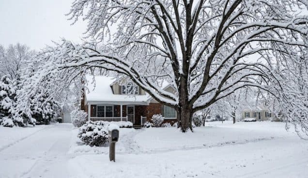 Grand Rapids Storm Prep: Why Lake-Effect Snow Loads Threaten Your Mature Maples