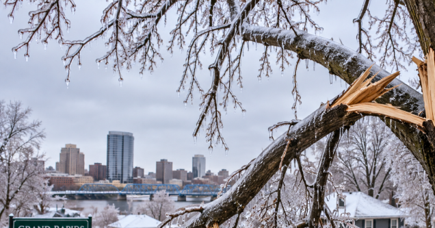10 Common Causes of Tree Damage in Grand Rapids, MI