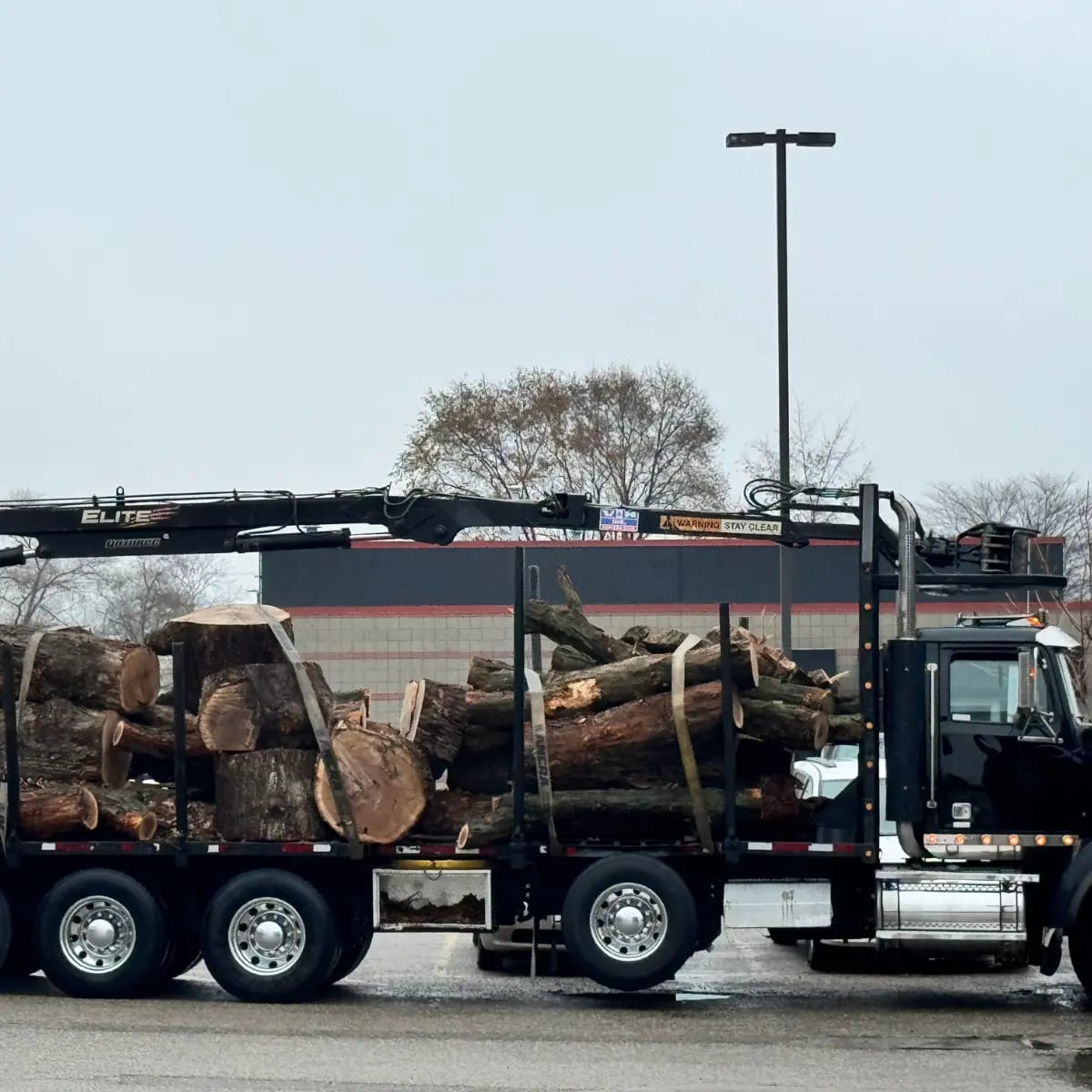 Tree service crane and bucket truck working on large tree removal in Grand Rapids, MI