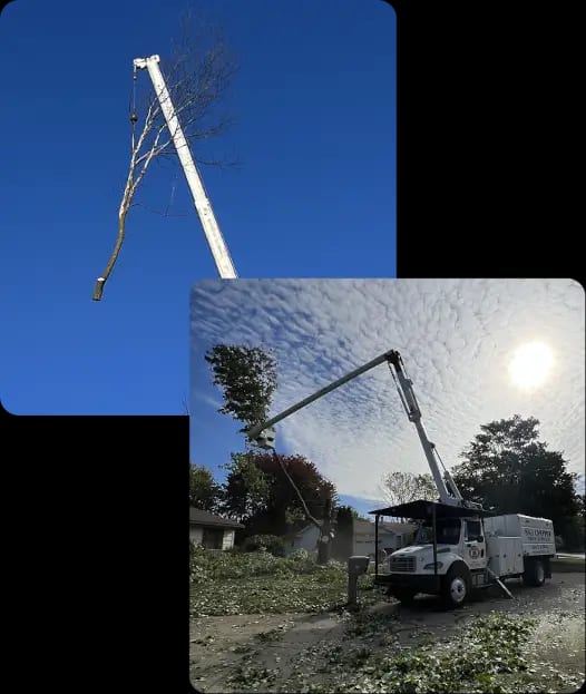 About Big Chipper Inc