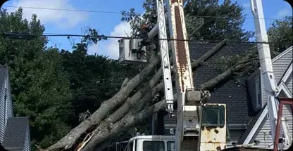 Emergency tree service in Grand Rapids after storm damage