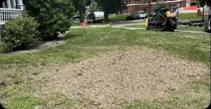 Land clearing service in Grand Rapids for new construction