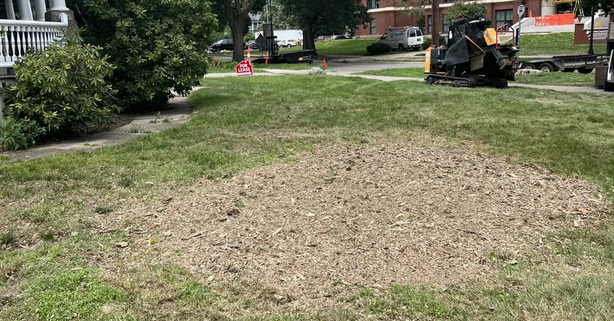 Land Clearing in Grand Rapids, MI & West Michigan